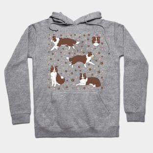 Adorable brown border collie dog illustration Hoodie